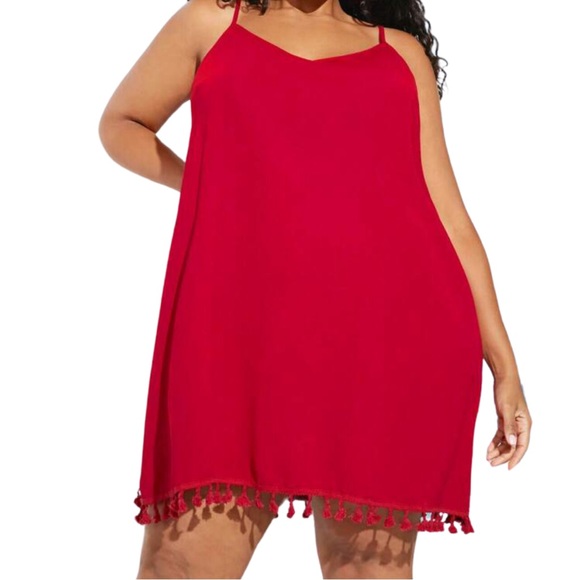 A+ Boutique Dresses & Skirts - PLUS Tassel Dress ❤️